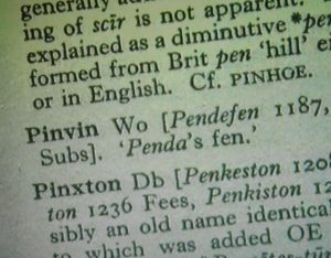 Pinvin text
